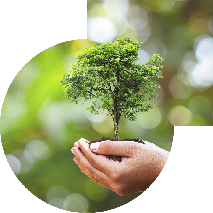 关怀人类、文化、环境与社会